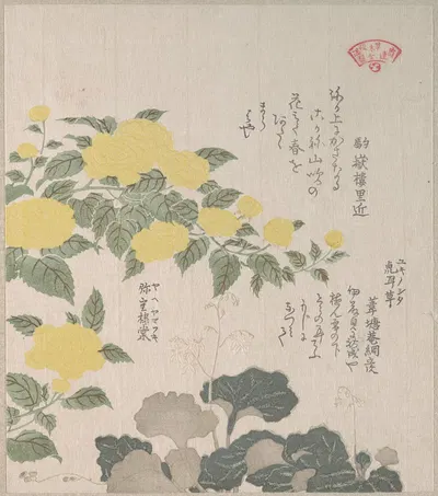 Corchorus (or Yellow Rose) and Creeping Saxifrage by Кубо Сюнман — digital art print download