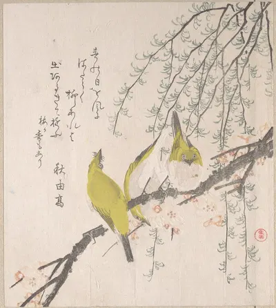 Japanese White-eyes with Plum Tree and Willow, from Spring Rain Surimono Album (Harusame surimono-jō, vol. 3) by Кубо…
