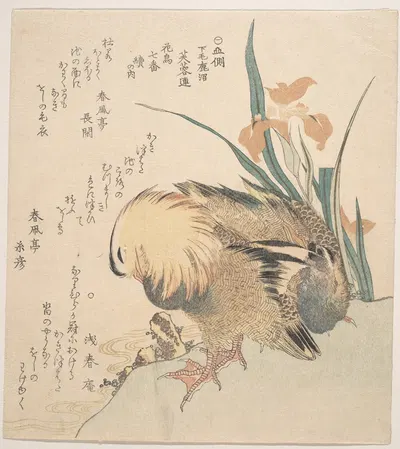Pair of Mandarin Ducks and Iris Flowers 2 by Кубо Сюнман — digital art print download