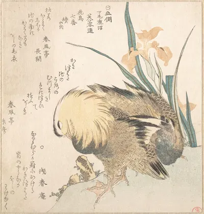 Pair of Mandarin Ducks and Iris Flowers by Кубо Сюнман — digital art print download