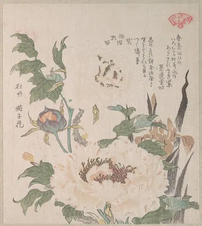 Peonies and Iris by Кубо Сюнман — digital art print download