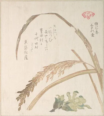 Rice Plant and Butter-Burs by Кубо Сюнман — digital art print download