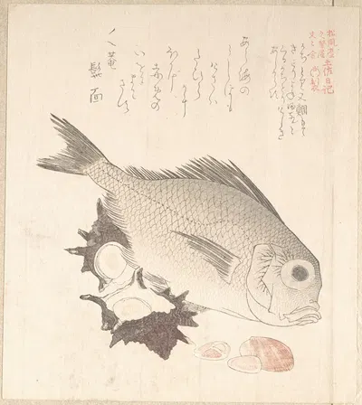 Tai Fish and Top-Shells by Кубо Сюнман — digital art print download