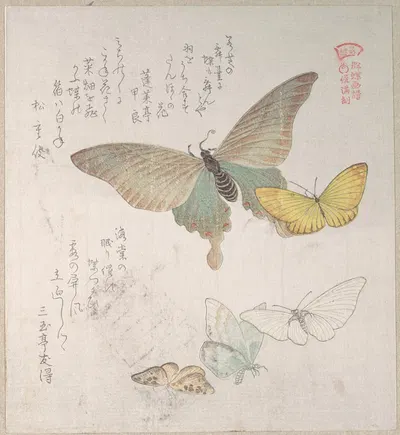 Various Moths and Butterflies by Кубо Сюнман — digital art print download