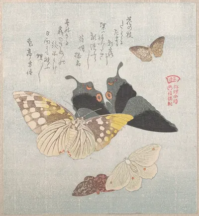 Various Moths and Butterflies by Кубо Сюнман — digital art print download