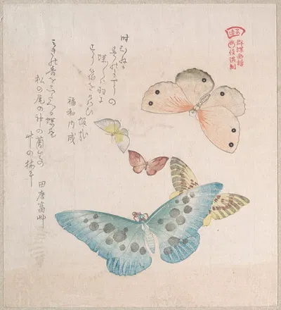 Various Moths and Butterflies by Кубо Сюнман — digital art print download