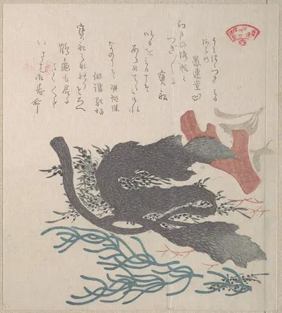 Various Seaweed by Kubo Shunman — digital art print download