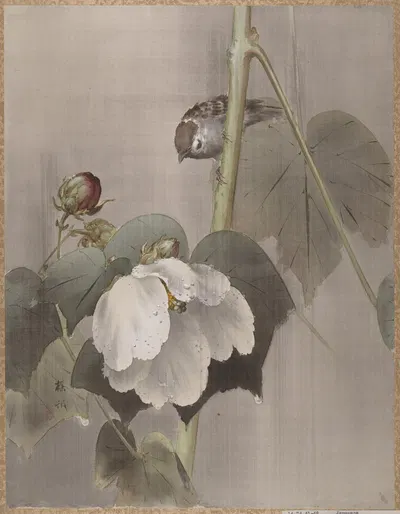 Cotton Rose Mallows in the Rain by Okada Baison — digital art print download