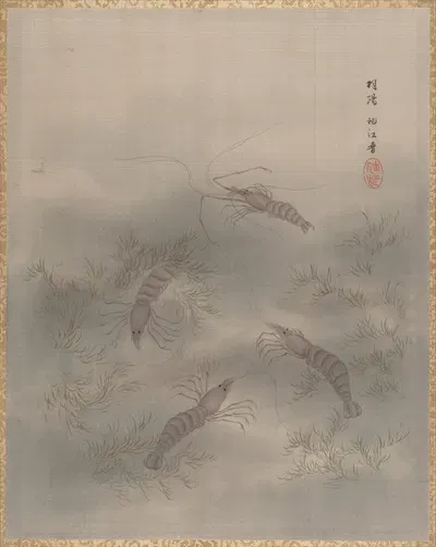 Shrimp (Ebi) by Сэки Сюко — digital art print download