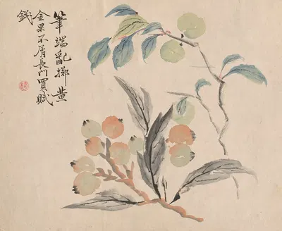 Loquat Tree of Japan by Цубаки Чинзан — digital art print download