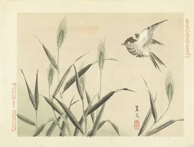 Barley and skylark by Matsumura Keibun, 1892 — digital art print download