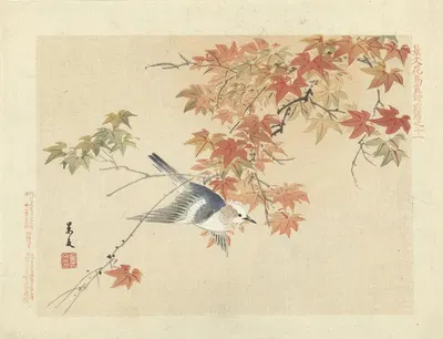Chestnut-cheeked starling by Matsumura Keibun, 1892 — digital art print download
