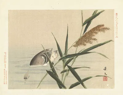 Common reed and little grebe by Matsumura Keibun, 1892 — digital art print download