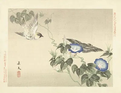 Japanese morning glory and Eurasian siskin by Matsumura Keibun, 1892 — digital art print download
