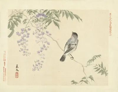 Japanese wisteria and Eurasian bullfinch by Matsumura Keibun, 1892 — digital art print download