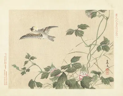 Kudzu and great tit by Matsumura Keibun, 1892 — digital art print download