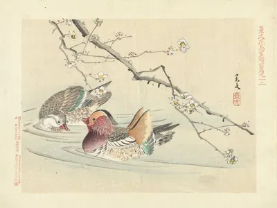 Plum and mandarin duck by Matsumura Keibun, 1892 — digital art print download