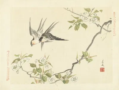 Sand pear and barn swallow by Matsumura Keibun, 1892 — digital art print download