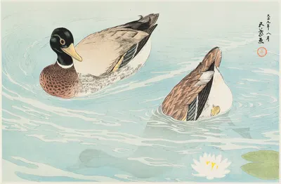 Ducks by Хасигути Гоё, 1920 — digital art print download