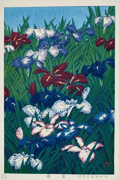 Ayame (Iris) by Кавасе Хасуи, 1929 — digital art print download
