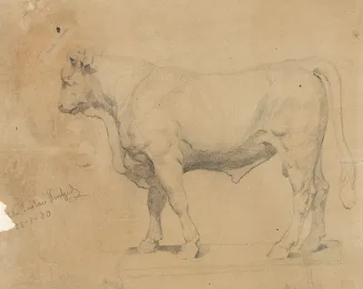Bull by Густав Вентцель, 1880 — digital art print download