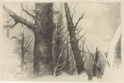 Study of a Tree by Густав Вентцель — digital art print download