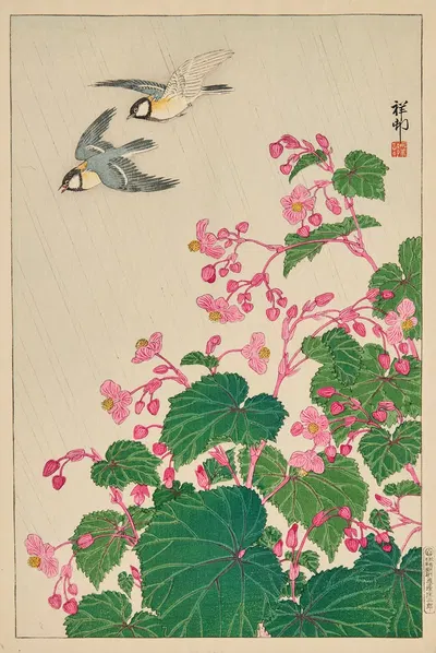 Two manchurian great tits in flight above begonia by Ohara Koson — digital art print download
