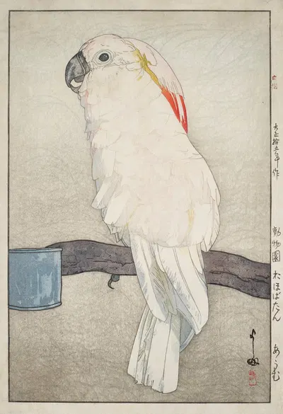 Obatan omu (Obatan parrot) by Yoshida Hiroshi, 1926 — digital art print download