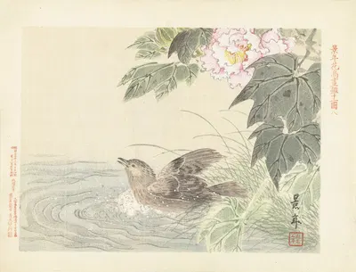 Badende vogel bij roze bloem by Имао Кейнин, 1892-1911 — digital art print download