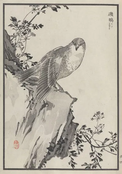 Bairei hyakuchō gafu. Ten Pl.07 by Коно Байрей, 1881 — digital art print download