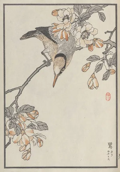 Bairei hyakuchō gafu. Ten Pl.15 by Коно Байрей, 1881 — digital art print download