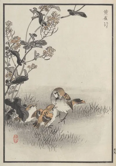 Bairei hyakuchō gafu. Ten Pl.17 by Коно Байрей, 1881 — digital art print download