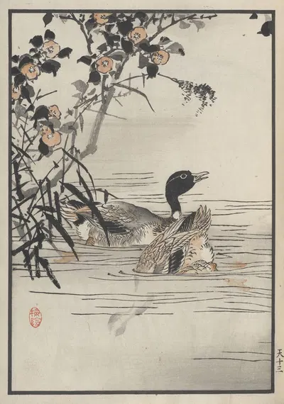Bairei hyakuchō gafu. Ten Pl.25 by Коно Байрей, 1881 — digital art print download
