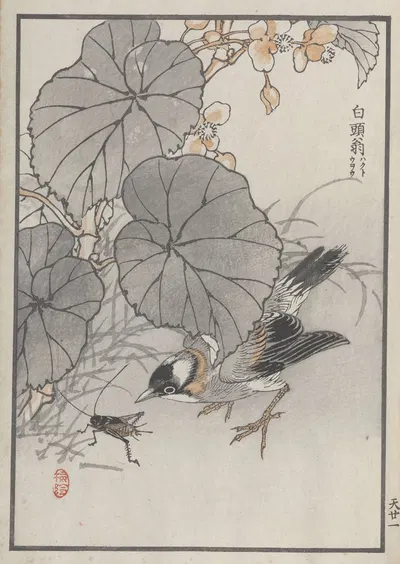 Bairei hyakuchō gafu. Ten Pl.41 by Коно Байрей, 1881 — digital art print download