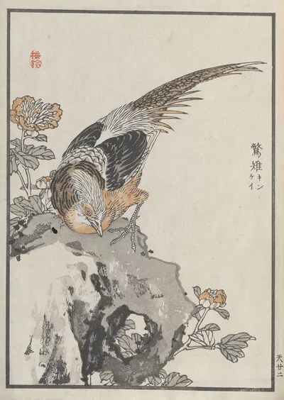 Bairei hyakuchō gafu. Ten Pl.43 by Коно Байрей, 1881 — digital art print download