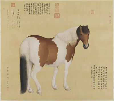Nieyunshi by Джузеппе Кастильоне, 1743 — digital art print download