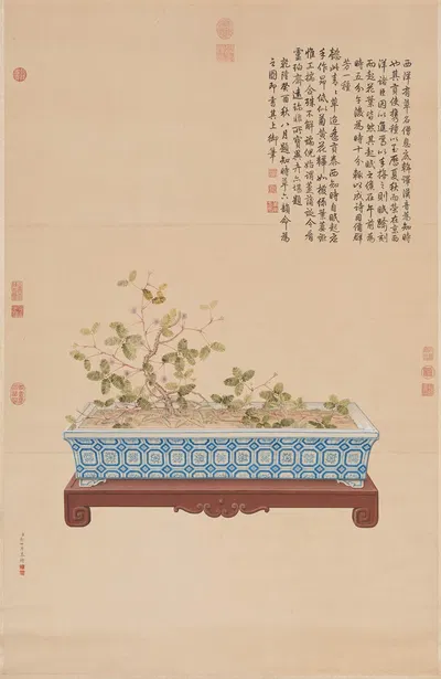 Time-Telling Plant from the West by Джузеппе Кастильоне, 1753 — digital art print download