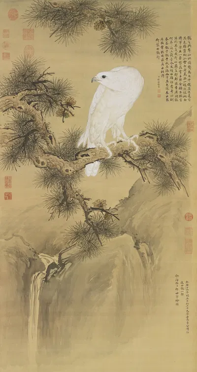 White Bird of Prey by Джузеппе Кастильоне — digital art print download