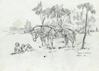 Pferde in Deckung by Август Кратцер, 1941 — digital art print download