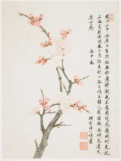 Apricot by Xiang Shengmo, 1656 — digital art print download