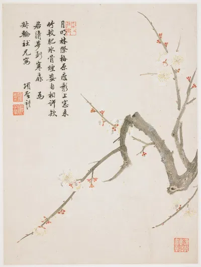 Blossoming plum by Xiang Shengmo, 1656 — digital art print download