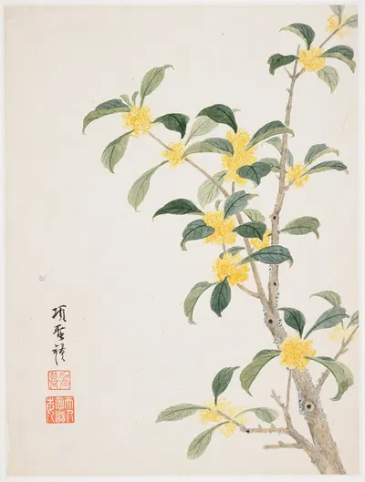 Cassia Blosso by Xiang Shengmo, 1656 — digital art print download