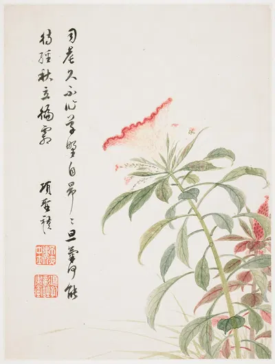 Cock's-comb by Xiang Shengmo, 1656 — digital art print download