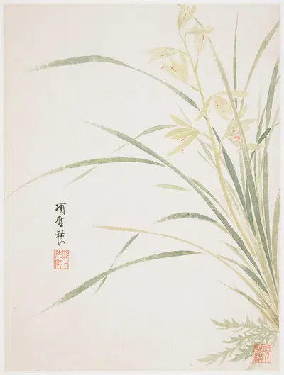 Epidendrum Blossom by Xiang Shengmo, 1656 — digital art print download