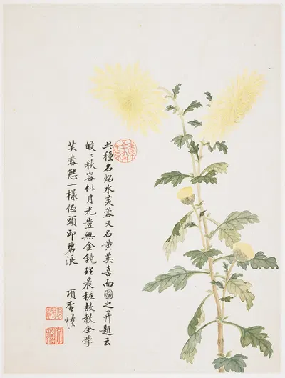 Hibiscus by Xiang Shengmo, 1656 — digital art print download