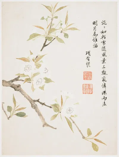 Pear Blossom by Xiang Shengmo, 1656 — digital art print download