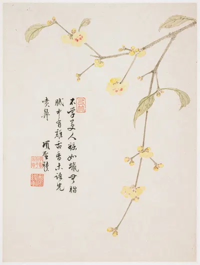 Wintersweet Blossom by Xiang Shengmo, 1656 — digital art print download