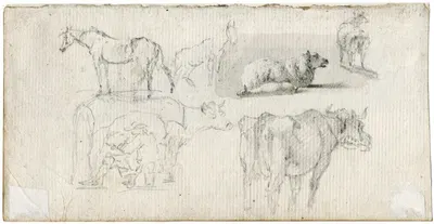 Diverse dieren by Баренд Хендрик Тир — digital art print download