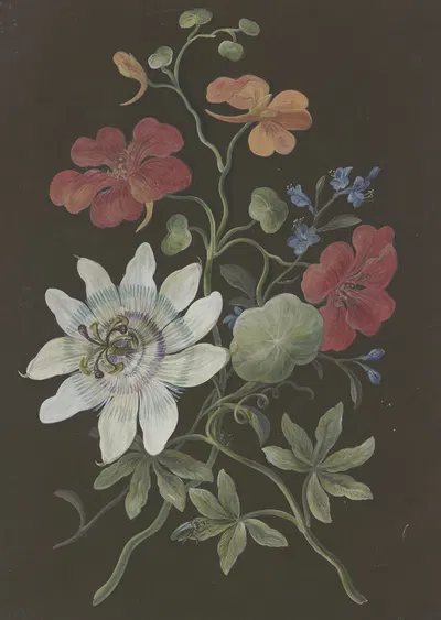 Gesteck aus Passionsblume (Passiflora), roter Kapuzinerkresse (Tropaeplum) und Vergißmeinnicht (Myosotis), mit blauem Käfer…