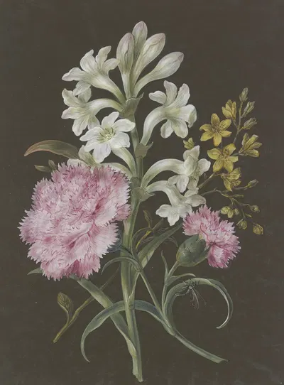 Gesteck aus Tuberose (Polyanthes), rosa Nelke (Dianthus) und gelber Blume mit Fliege by Barbara Regina Dietzsch — digital…